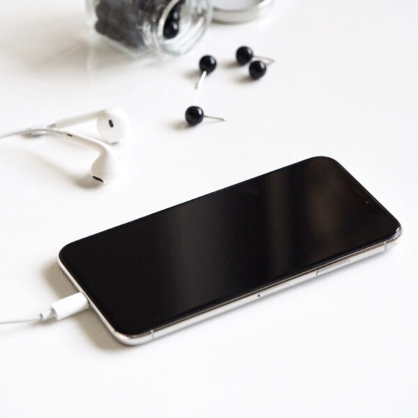 Iphone 12 Max